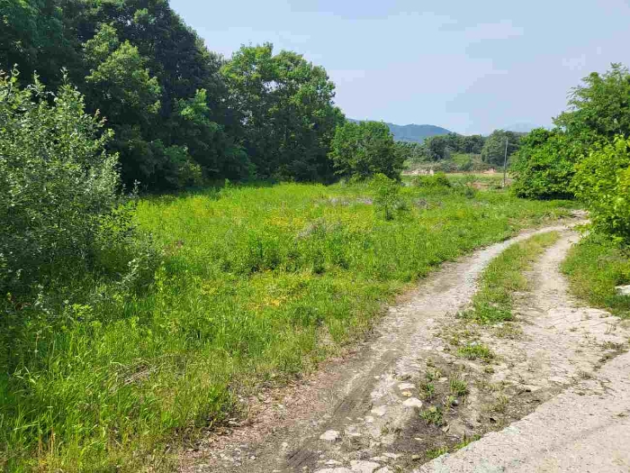  제시 목록 1 부동산