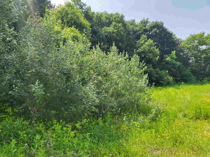 제시 목록 1 부동산