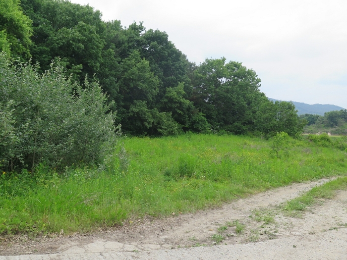 본건 기호1)토지 전경(본건 남동측 인근에서 촬영)