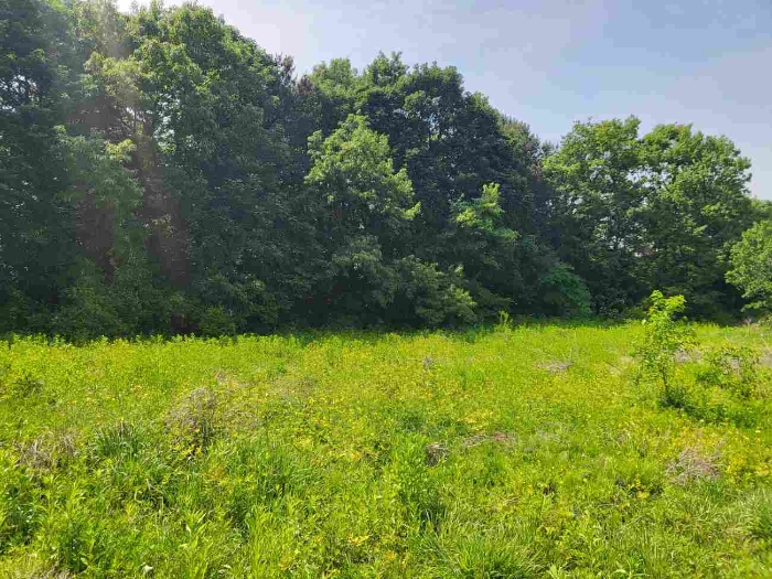 제시 목록 1 부동산