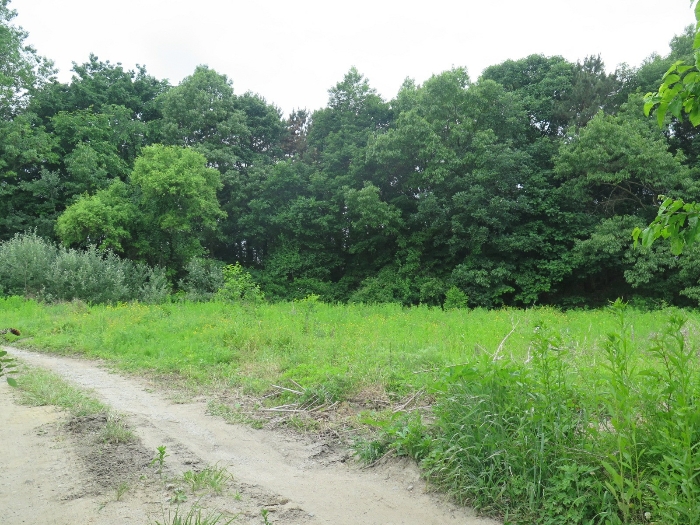 본건 기호1)토지 전경(본건 남동측 인근에서 촬영)