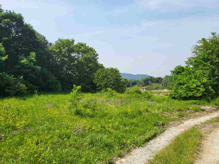 제시 목록 1 부동산