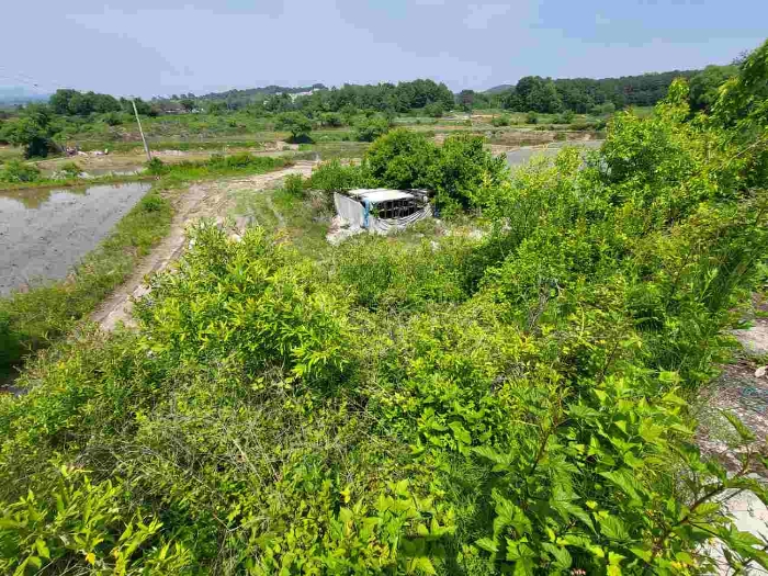 제시 목록 2 부동산(묵전)