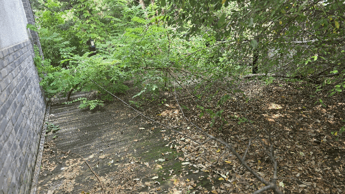 제시외 데크 전경