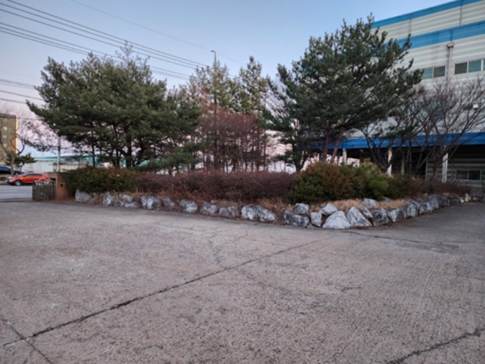 제시외 수목 전경