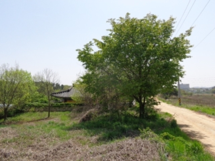 [목록 10] 