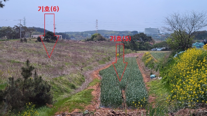 기호(5) 기호(6)