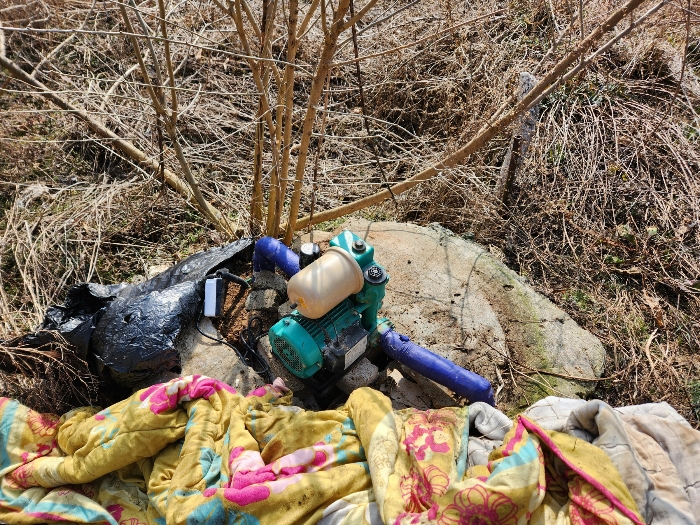 제시외 관정(기