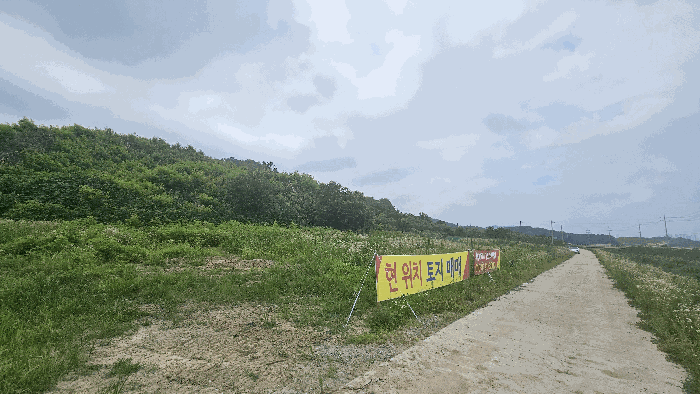 본건 기호(5) 토지 전경