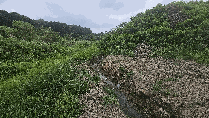 본건 기호(5) 및 인접지 지상 구거