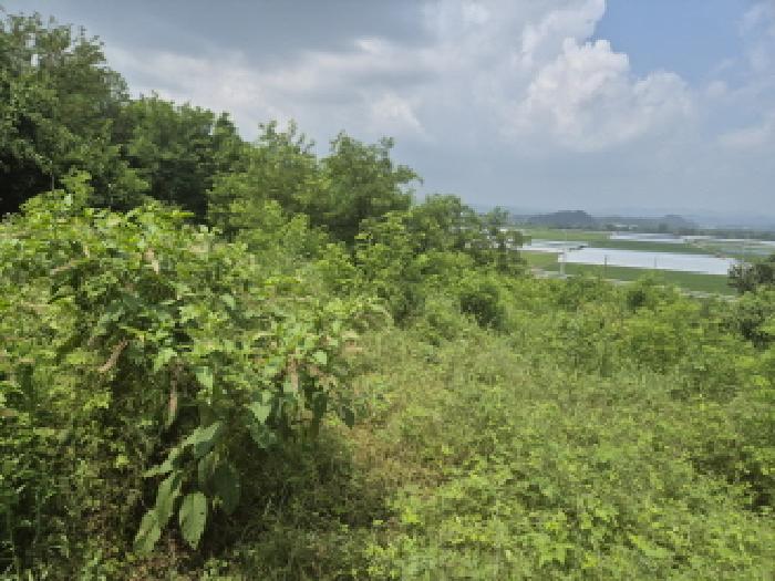 목록1 전경 