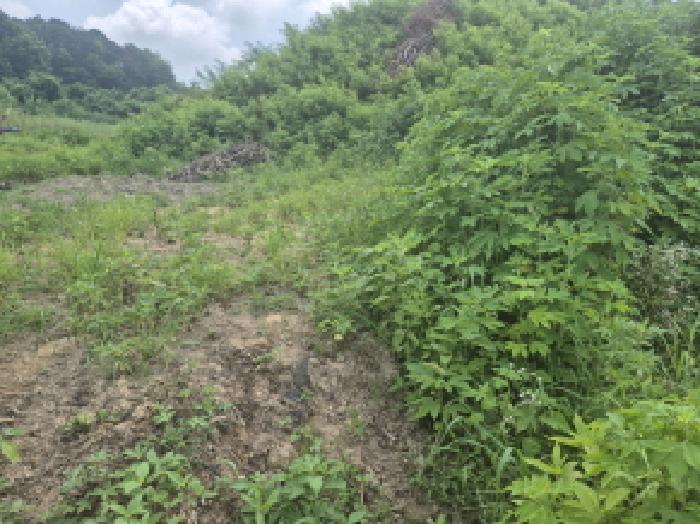 목록2 전경 