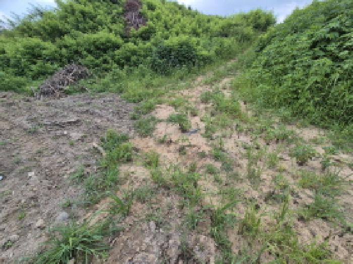 목록2 전경 