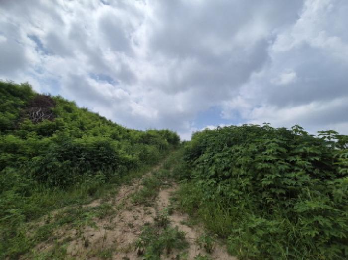 목록4 전경 