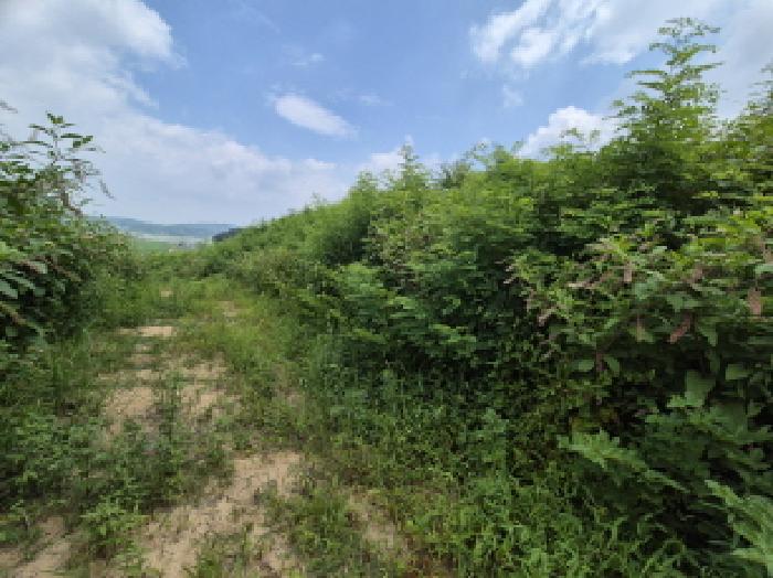 목록4 전경 