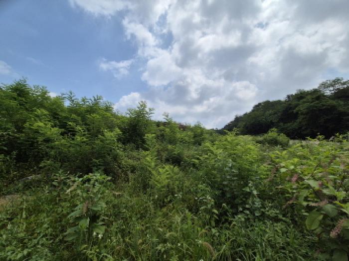 목록4 전경 