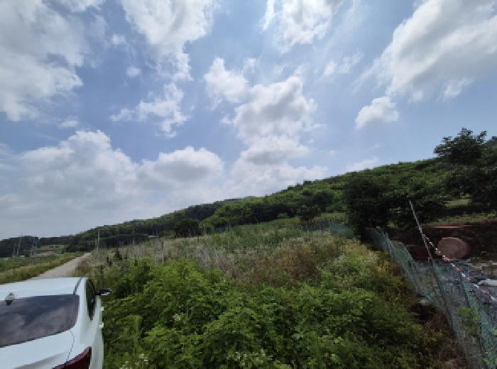 목록5 전경 
