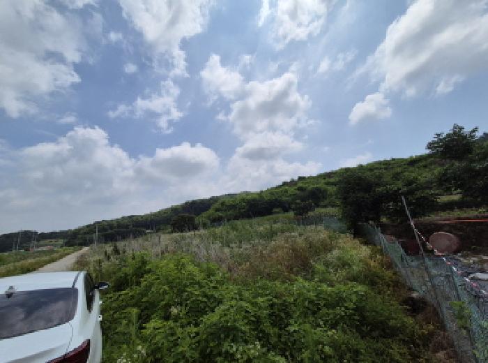 목록5 전경 