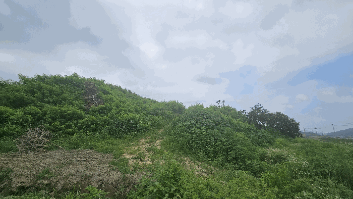 본건 기호(2) 토지 전경