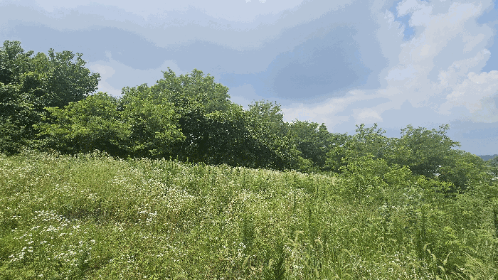 본건 기호(1) 토지 전경