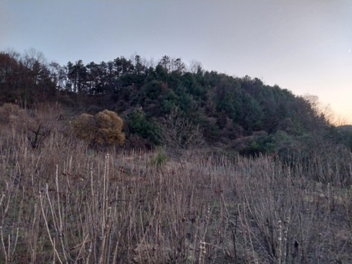 목록1  2  5번