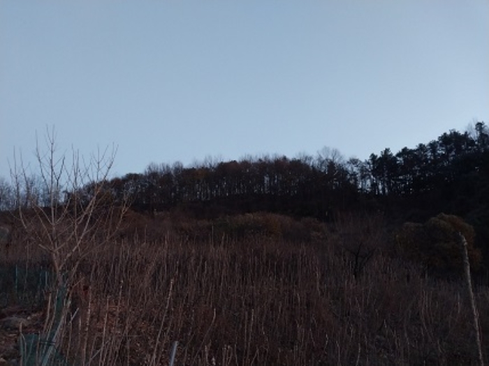 목록3번