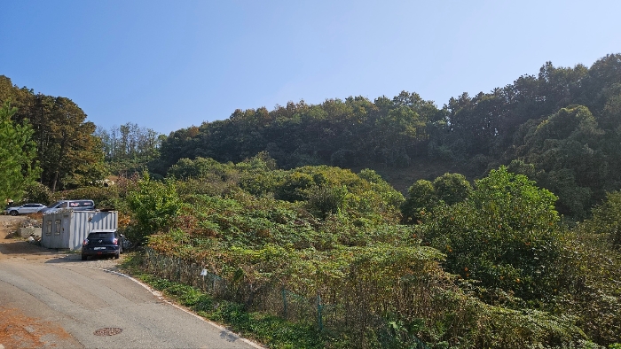 일련번호 5)