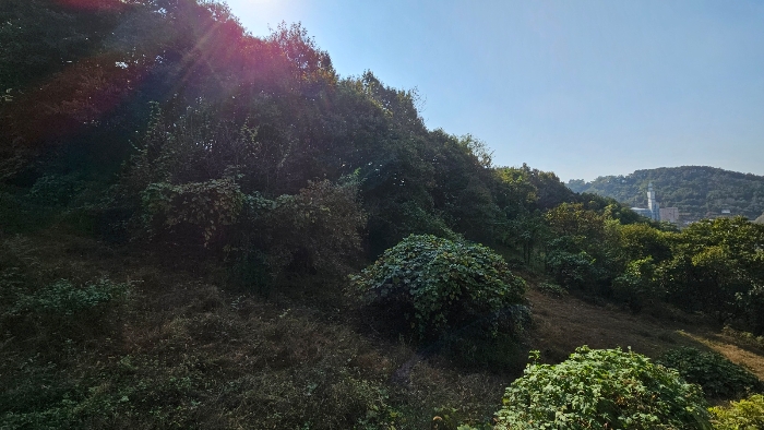 일련번호 5) 