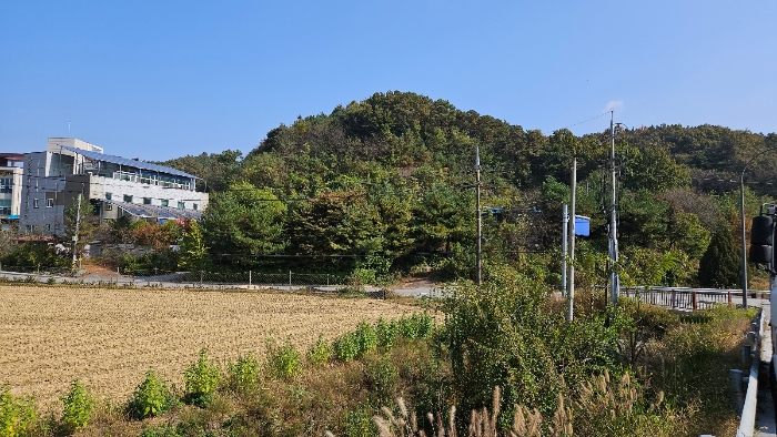 일련번호 1)