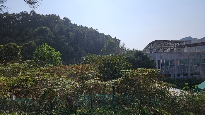 일련번호 2) 3)