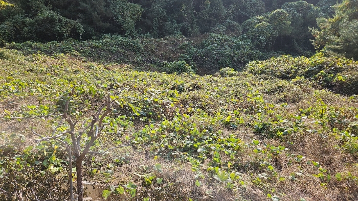 일련번호 3)