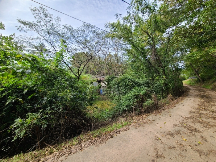 일련번호(2) 전경