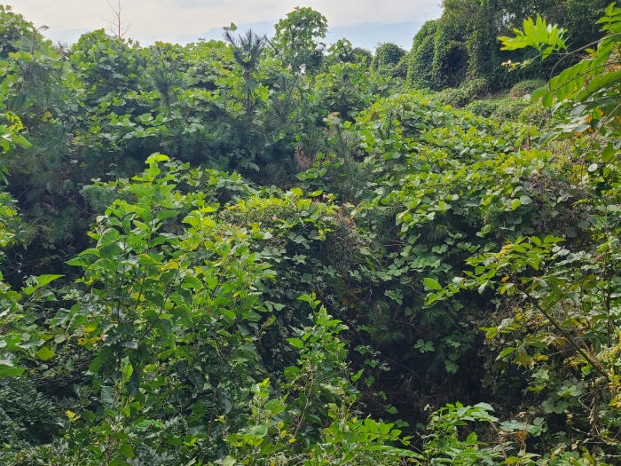 일련번호(2) 전경