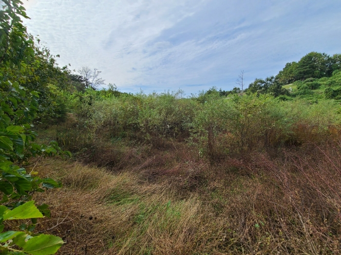 일련번호(3,4) 전경