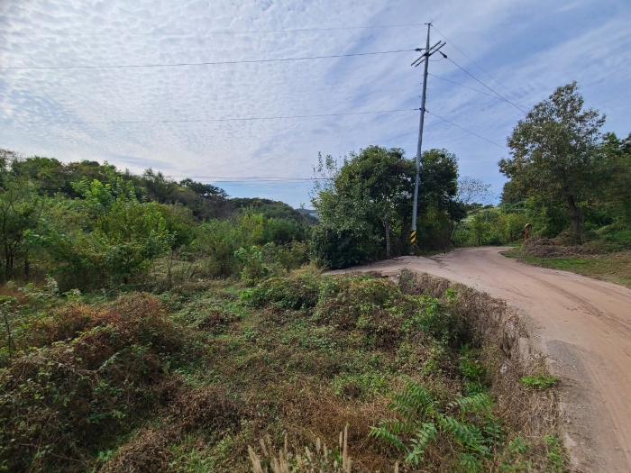 본건 및 주변환경