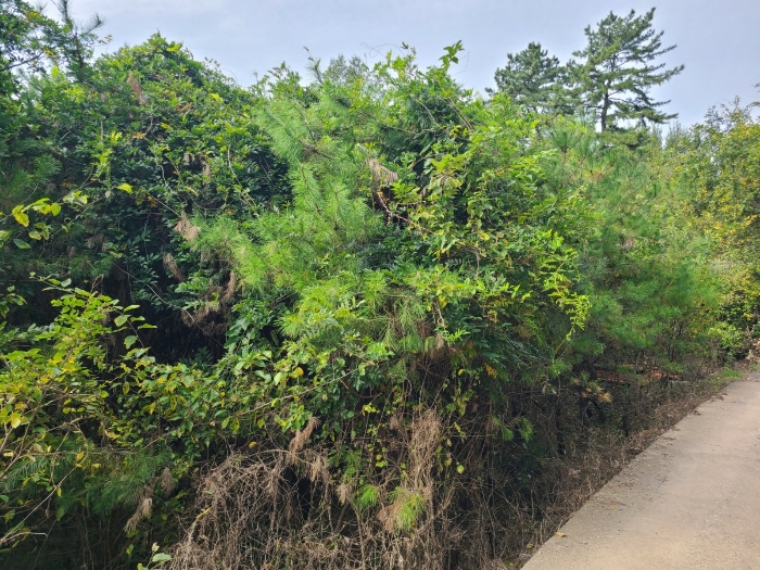 일련번호(2) 전경