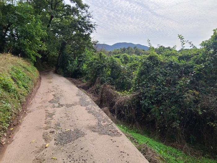 일련번호(2) 전경