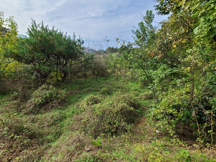 일련번호(5) 전경