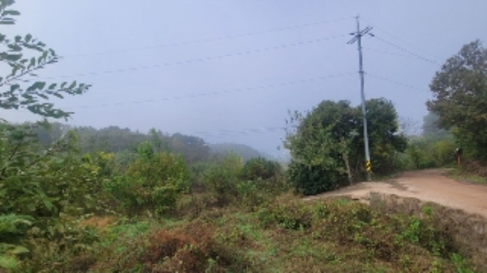 본건2~5 및 주변