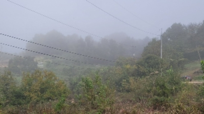 본건2~5 및 주변