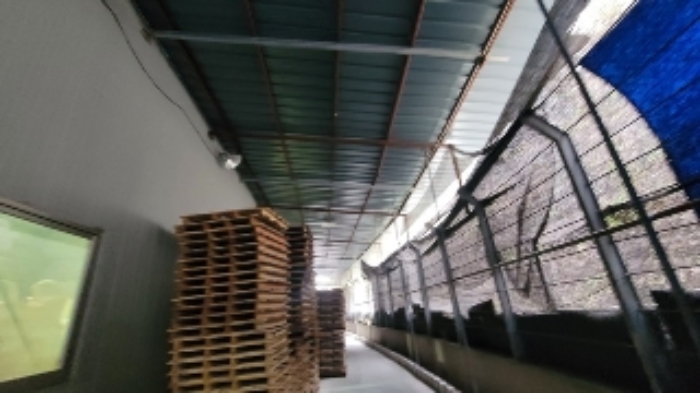 제시외건물(종물,부합물)