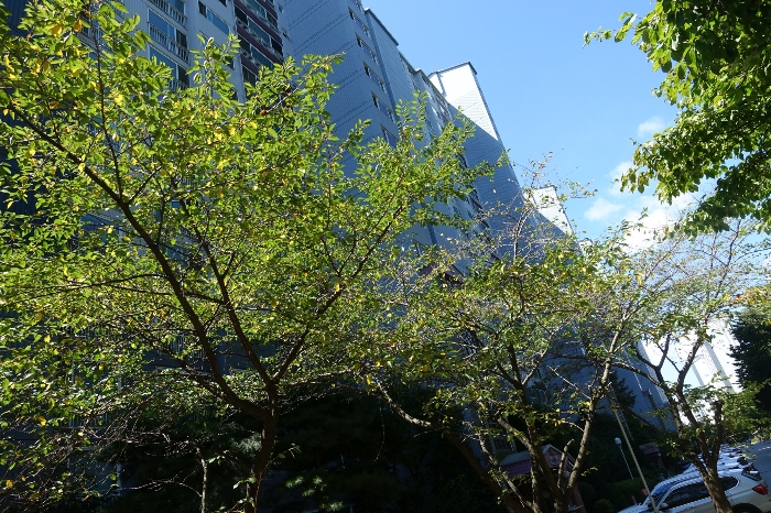 건물 외관 - 북동측에서 촬영