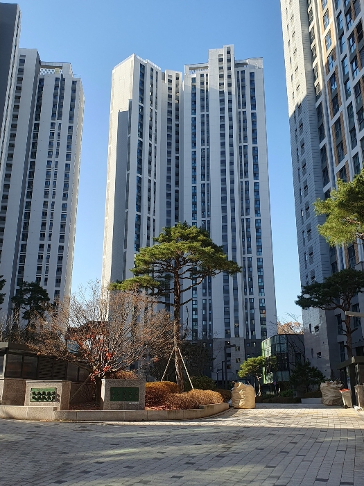 본건소재 339동