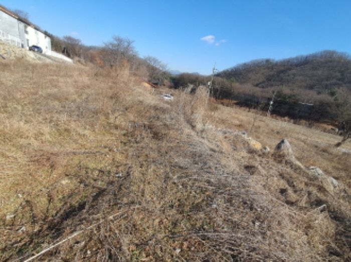 현장사진[지월리 473-1, 473-2 토지 및 지장물 돌(정원석?)]