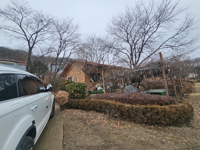 제시외 수목 등