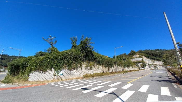 본건 및 주변환경(남동측 근경)