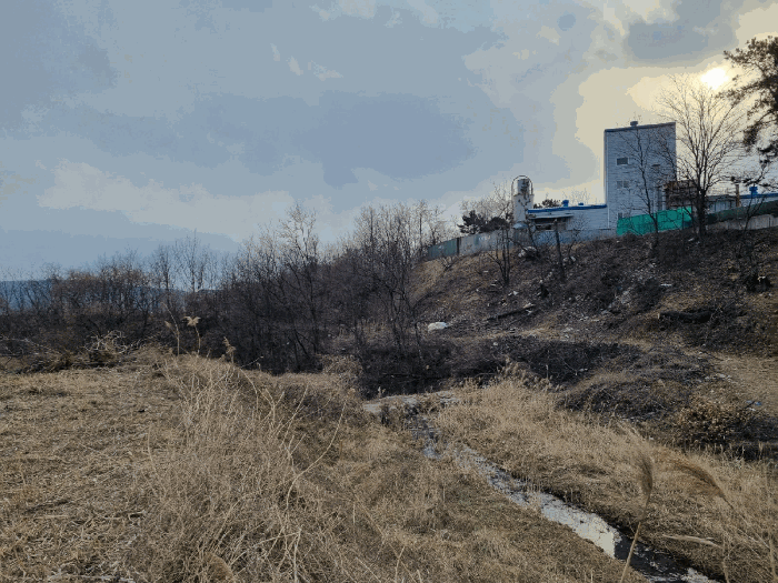 주위환경(북동측 인근)
