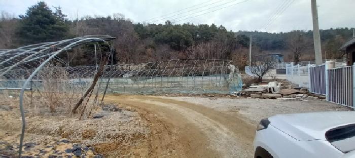 본건 토지 전경(비닐하우스)