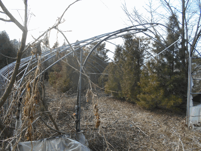 5.제시외물건 ㄱ