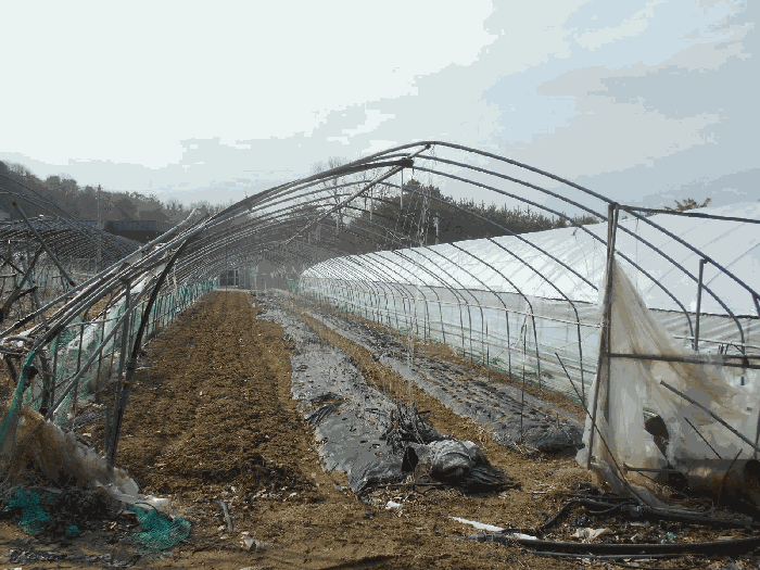 8.제시외물건 ㄹ